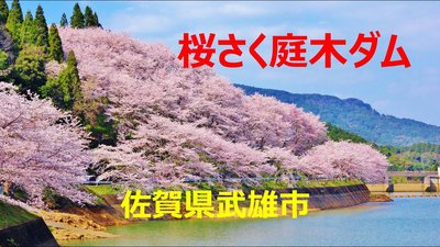 🌸 니와키 댐 이미지 2